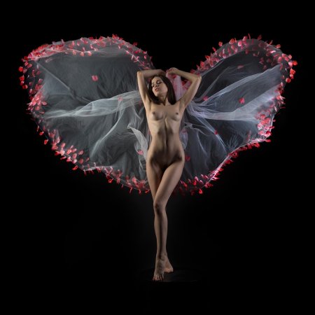 Голая бабочка