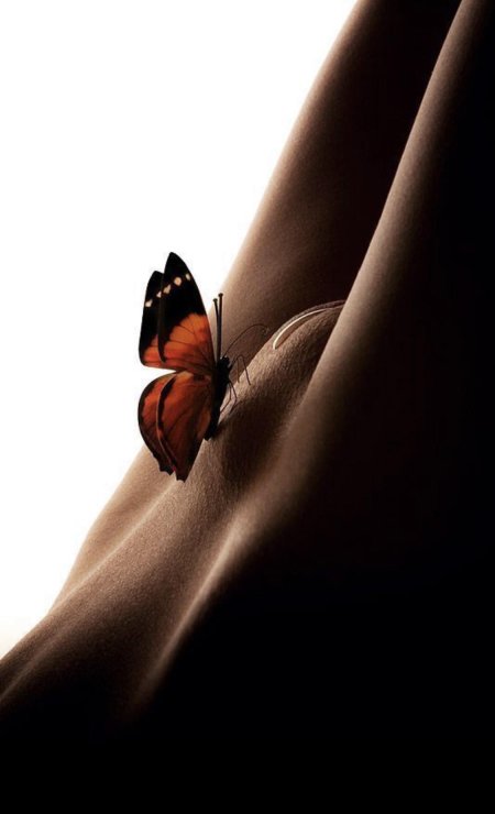 Бабочка в животе