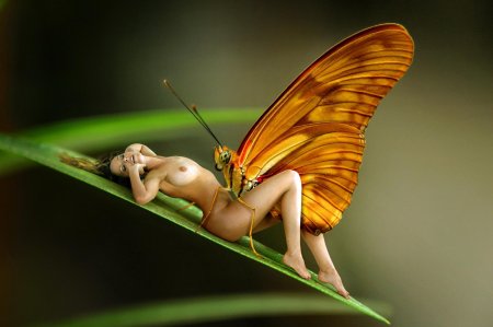 Девушка бабочка