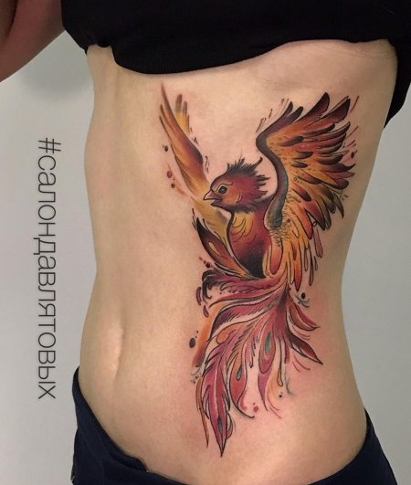 Тату феникс на животе