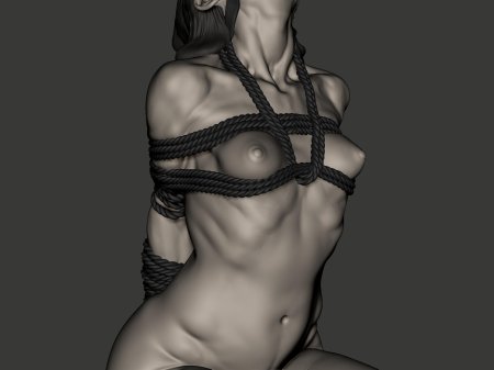 Бдсм шибари