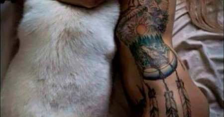 Ловец снов тату