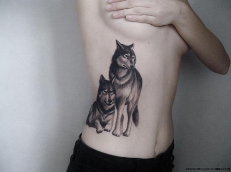 Тату волк