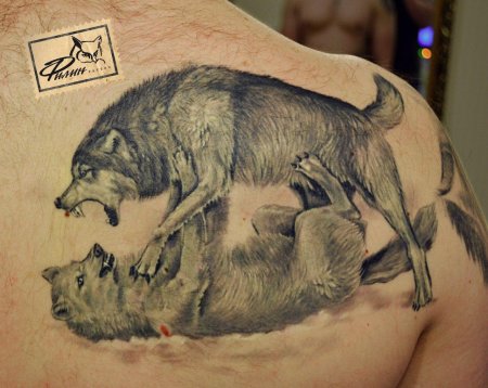 Тату волк