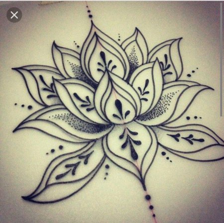 Лотос дотворк