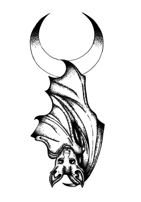 Эскиз летучая мышь