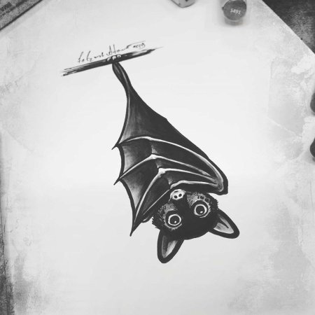 Летучая мыши