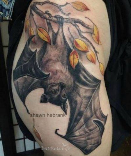 Летучая лисица тату