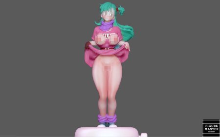 Dragon ball bulma