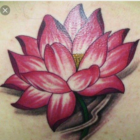 Красный лотос тату