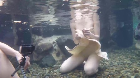 В океанариуме