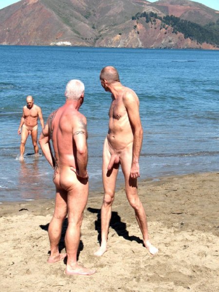 Домашние нудисты