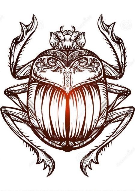 Скарабей жук