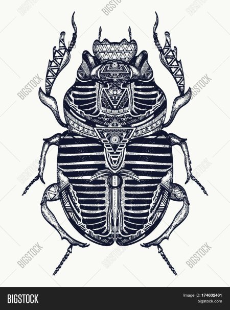 Египетский скарабей