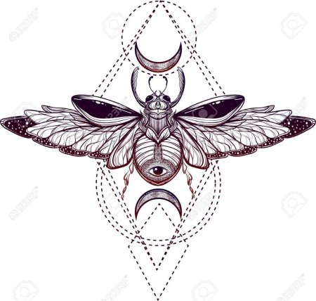 Скарабей эскиз