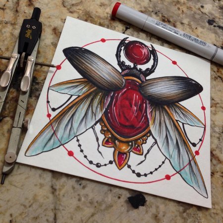 Жуки скарабеи майский жук