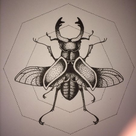 Жук скоробей эскиз тату
