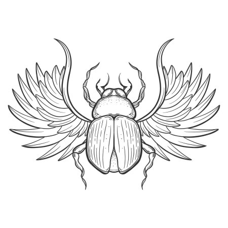 Скарабей жук египет эскиз