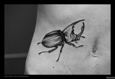 Тату жук скарабей