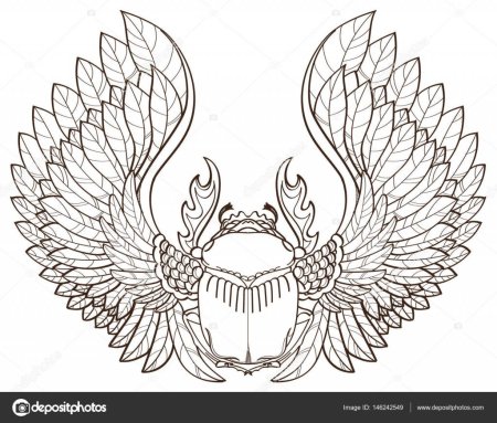 Египетский жук скарабей эскиз