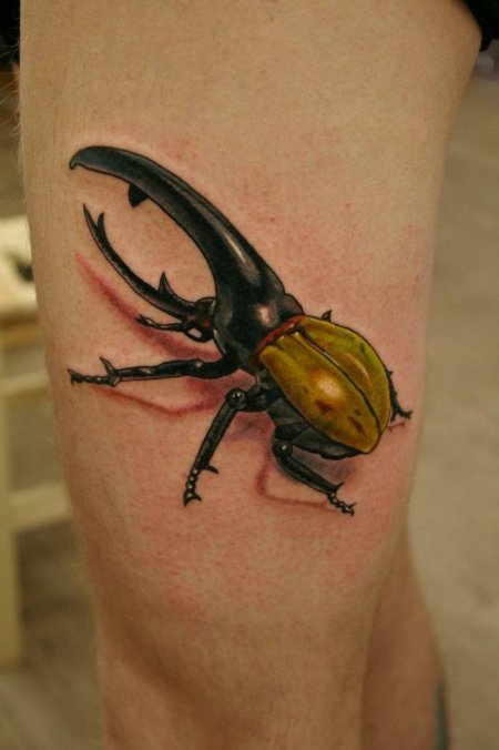 Жук носорог тату