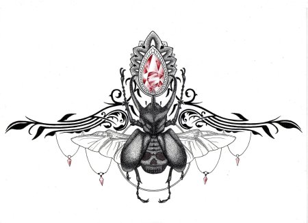 Жуки скарабеи майский жук