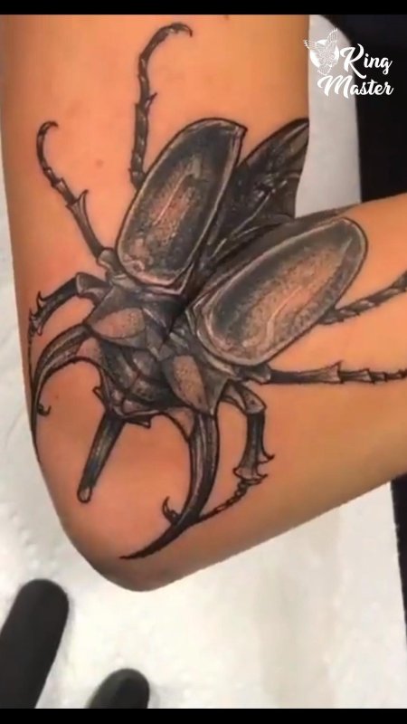Тату жук скарабей