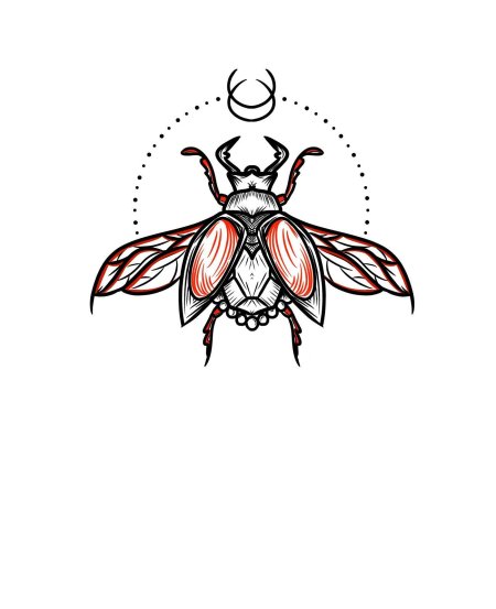 Жуки скарабеи майский жук