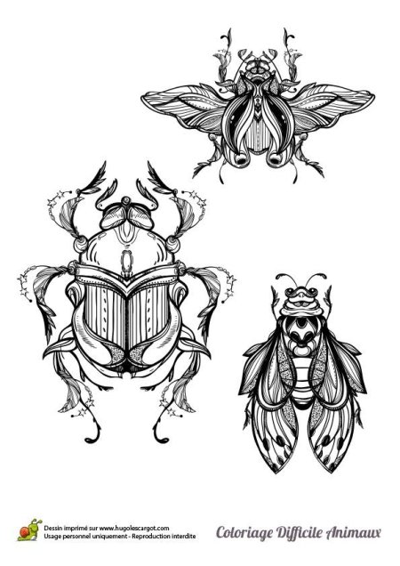 Жук скарабей тату эскизы