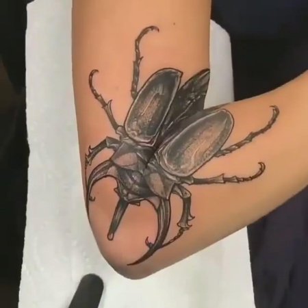Тату жук