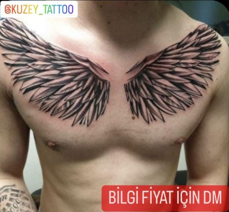 Тату крылья на грудине мужские