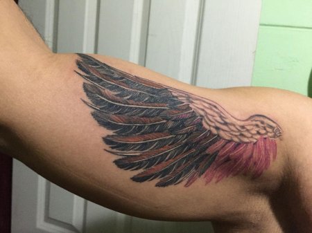 Крыло на руке тату