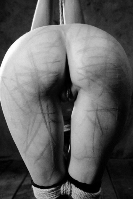 Женские попы после порки