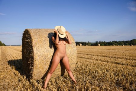 Стог сена в поле