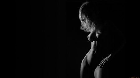 Силуэт девушек