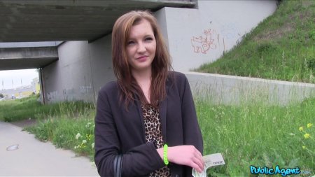 Паблик агент мартин