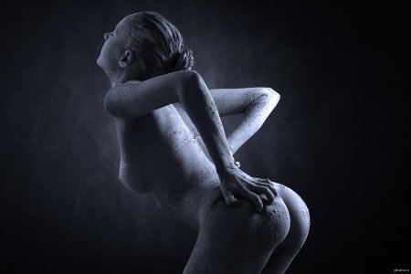 Художественная эротика