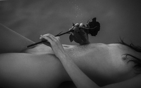 Роза эротика