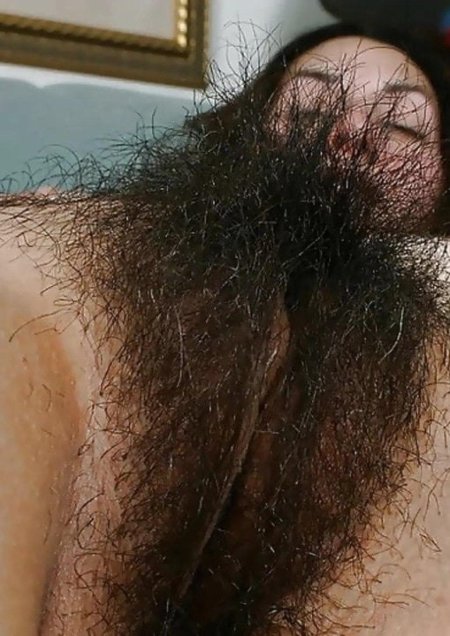 Самые длинные волосы на лобке