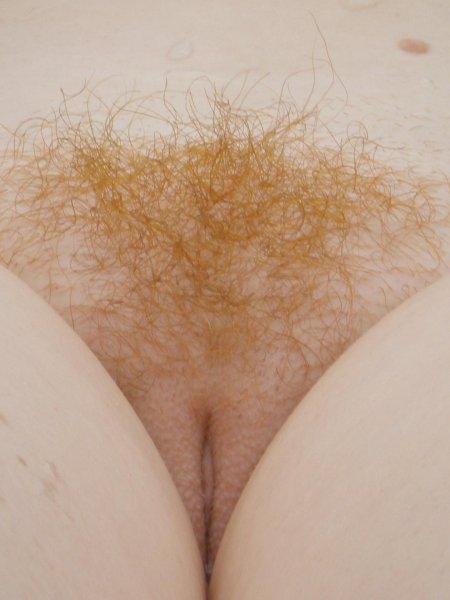 Рыжий женский волосатый лобок
