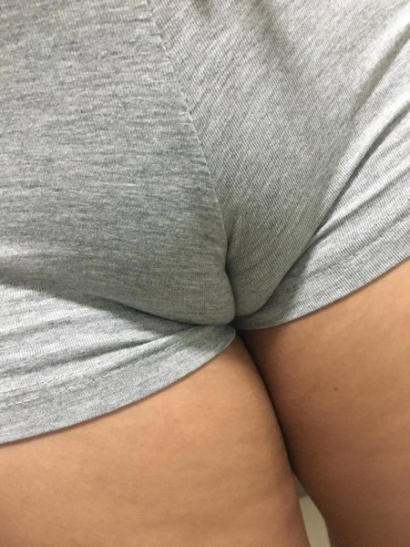 Верблюжья лапка