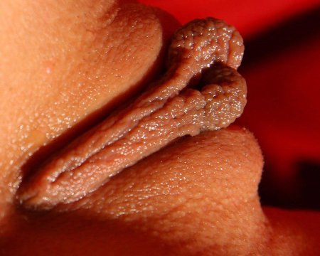 Самые красивые половые губы