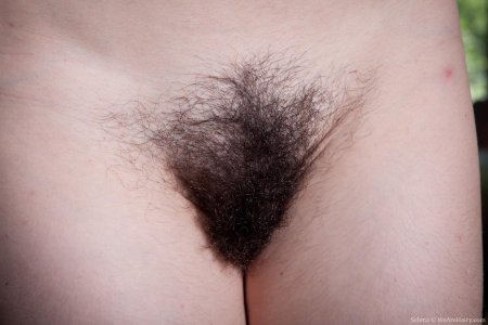 Лобковые волосы