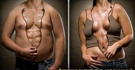 Мужской живот