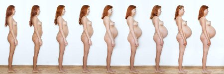 Много голых беременных женщин