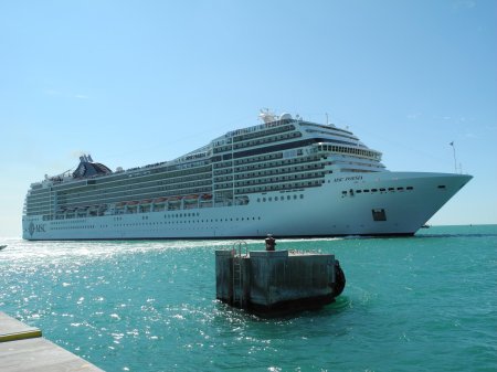 Msc divina лайнер
