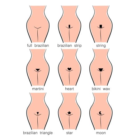 Типы женских писек