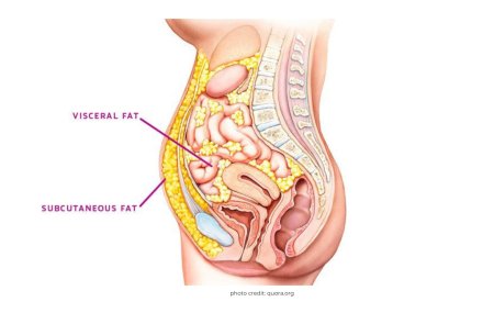 Висцерального жира