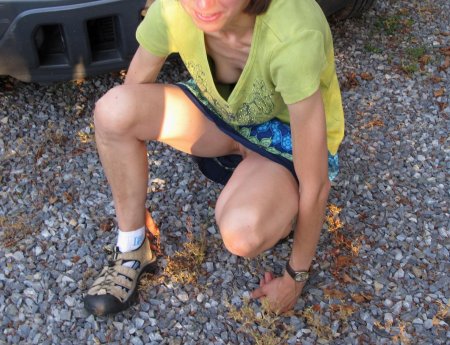 Эро засветы