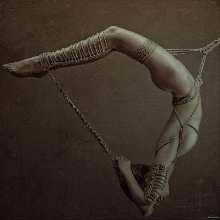 Шибари кинбаку калахари